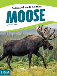 Cover image: Moose 1st edition 9781635170351