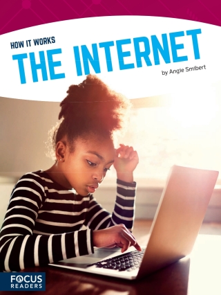 Imagen de portada: The Internet 1st edition 9781635172355
