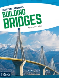 Cover image: Building Bridges 1st edition 9781635172515
