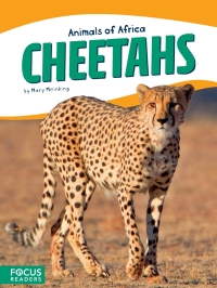 Cover image: Cheetahs 1st edition 9781635172607