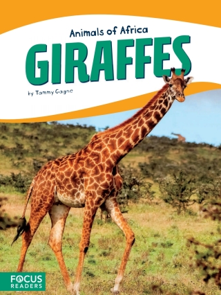 صورة الغلاف: Giraffes 1st edition 9781635172638