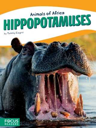 Imagen de portada: Hippopotamuses 1st edition 9781635172652