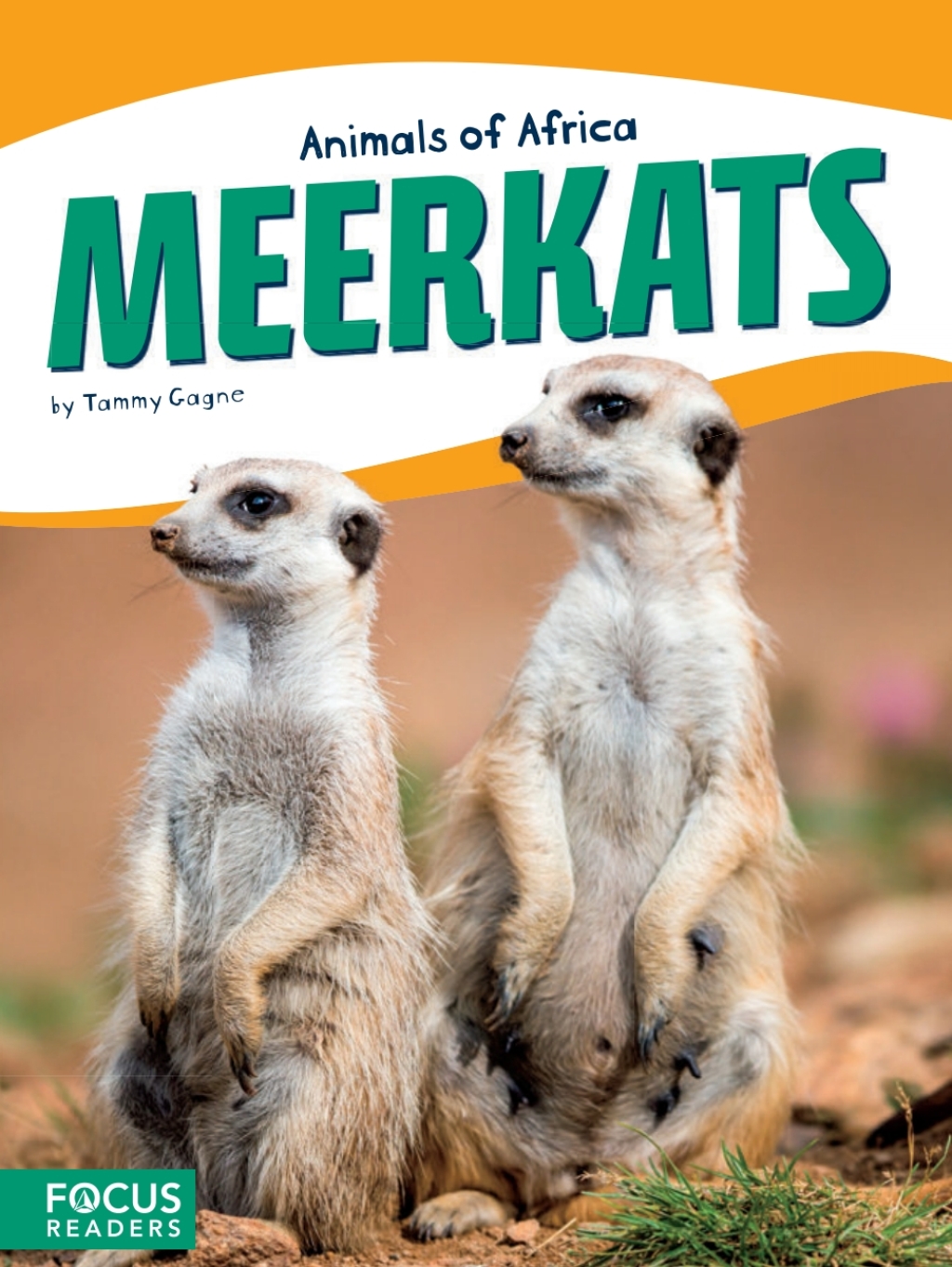 Meerkats 1st Edition
