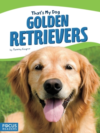 صورة الغلاف: Golden Retrievers 1st edition 9781635175417