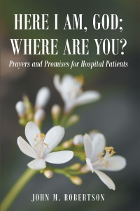 Cover image: Here I Am, God; Where Are You? 9781635252170