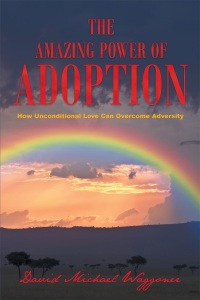 Cover image: The Amazing Power of Adoption: How Unconditional Love Can Overcome Adversity 9781635255027