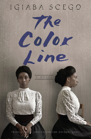 Cover image: The Color Line 9781635420869