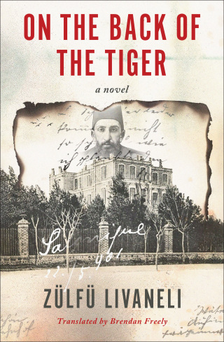 Cover image: On the Back of the Tiger 9781635423914