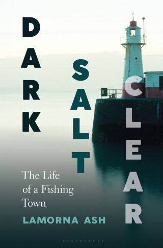 Cover image: Dark, Salt, Clear 1st edition 9781635576153
