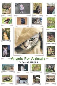 Imagen de portada: Angels for Animals 9781635684483