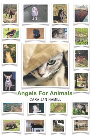 Cover image: Angels for Animals 9781635684483