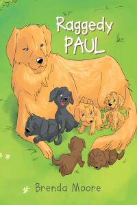 Cover image: Raggedy Paul 9781635758511