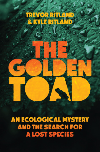 Cover image: The Golden Toad 9781635769968