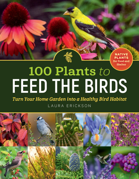 100 Plants to Feed the Birds: Turn Your Home Garden into a Healthy Bird Habitat - FULL INSTANT DOWNLOAD | PDF DOCX EPUB