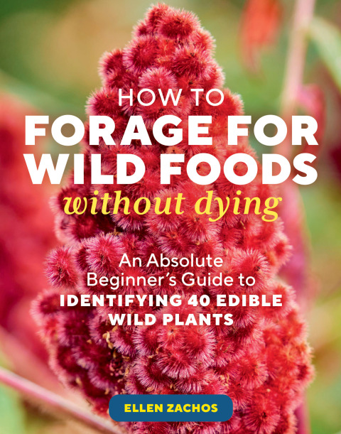 How to Forage for Wild Foods without Dying: An Absolute Beginner's Guide to Identifying 40 Edible Wild Plants - FULL INSTANT DOWNLOAD | PDF DOCX EPUB