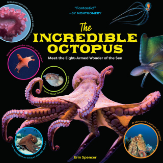 Cover image: The Incredible Octopus 9781635866285