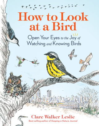 Cover image: How to Look at a Bird 9781635866490