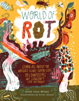 Cover image: World of Rot 9781635866698