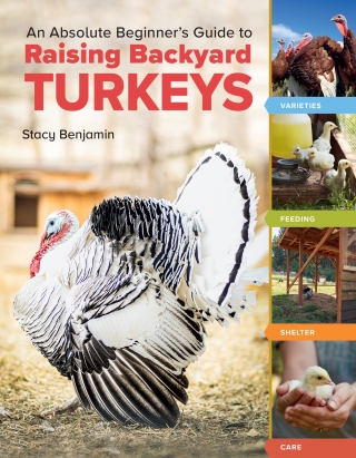 Cover image: An Absolute Beginner's Guide to Raising Backyard Turkeys 9781635867565