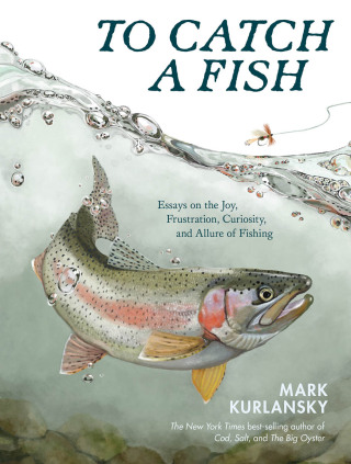 Cover image: To Catch a Fish 9781635869729