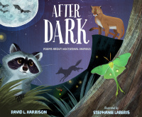 Cover image: After Dark 9781629797175