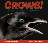 Cover image: Crows! 9781590787243