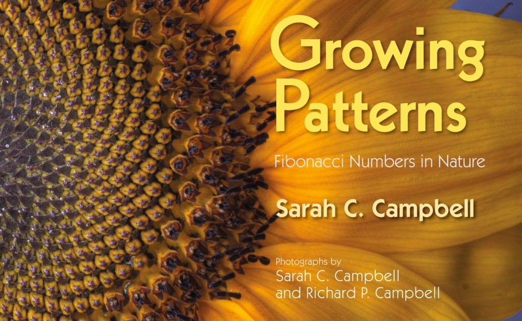 Growing Patterns (eBook)