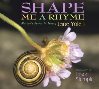 Cover image: Shape Me a Rhyme 9781620917916
