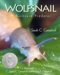 Cover image: Wolfsnail 9781590785546