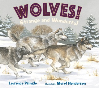 Cover image: WOLVES! Strange and Wonderful 9781635923278