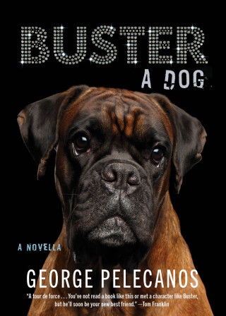 Cover image: Buster: A Dog 1st edition 9781636141701