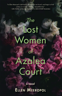 Omslagafbeelding: The Lost Women of Azalea Court 9781636280493