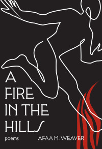 Cover image: A Fire in the Hills 9781636280820
