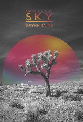 Imagen de portada: Under a Future Sky 9781636281070