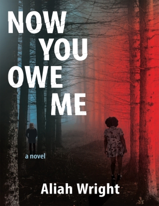 Imagen de portada: Now You Owe Me 9781636281568