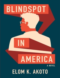 Cover image: Blindspot in America 9781636281827