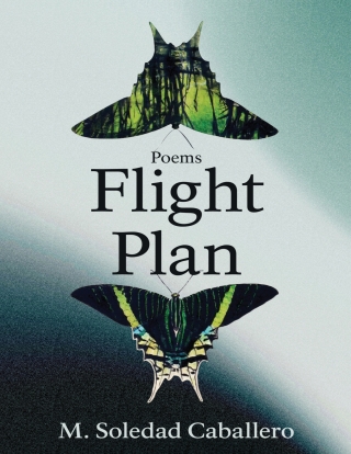 Cover image: Flight Plan 9781636282527
