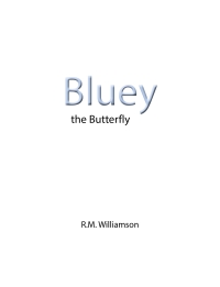 Cover image: Bluey the Butterfly 9781636304793