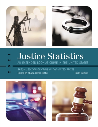 Cover image: Justice Statistics 6th edition 9781636710402