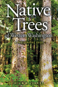 表紙画像: Native Trees of Western Washington 9780874223248