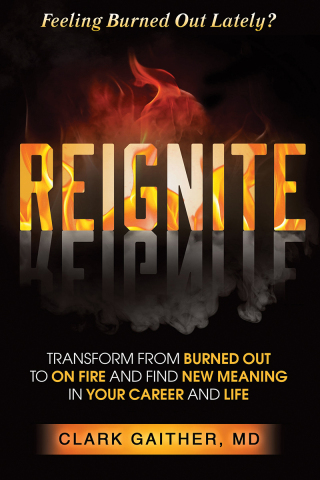 Cover image: REIGNITE 9781636981314