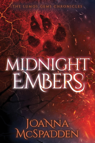 Imagen de portada: Midnight Embers 9781636985640