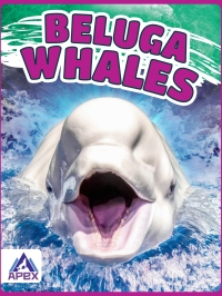Cover image: Beluga Whales 1st edition 9781637380017