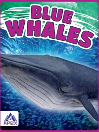 صورة الغلاف: Blue Whales 1st edition 9781637380024