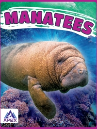 Cover image: Manatees 1st edition 9781637380055