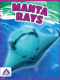 Cover image: Manta Rays 1st edition 9781637380062