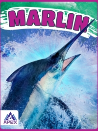 Omslagafbeelding: Marlin 1st edition 9781637380079