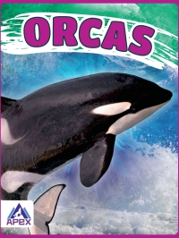 Omslagafbeelding: Orcas 1st edition 9781637380086