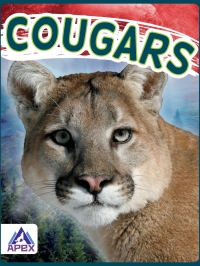 Imagen de portada: Cougars 1st edition 9781637380291