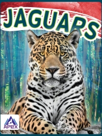 Cover image: Jaguars 1st edition 9781637380307